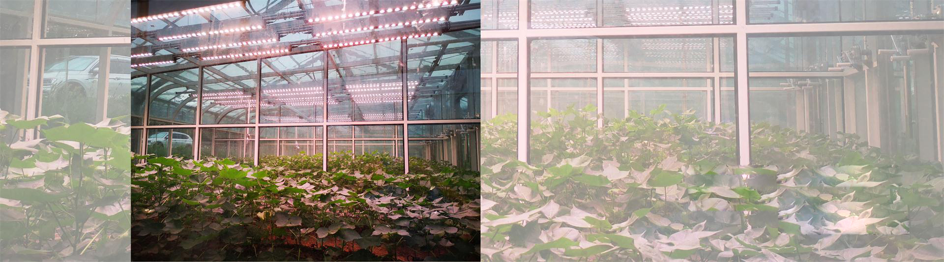 人工模拟环境的整体解决方案