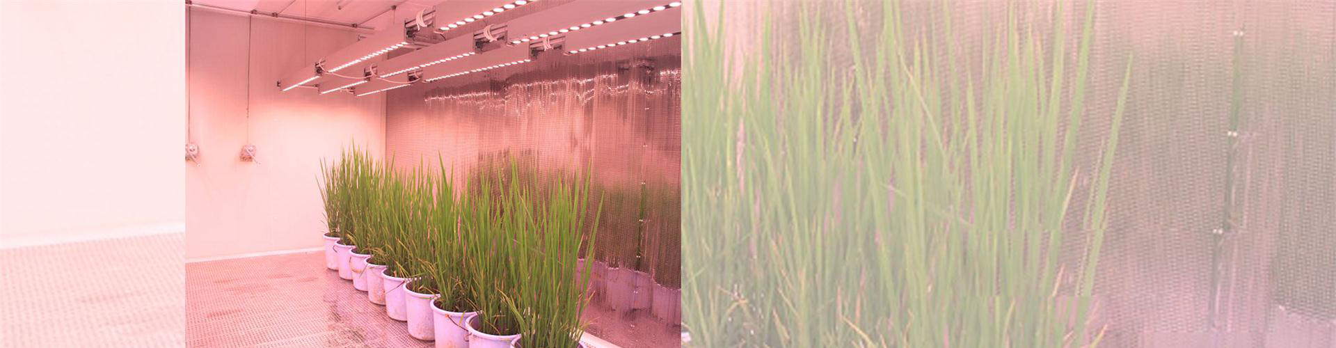 开云online(中国)