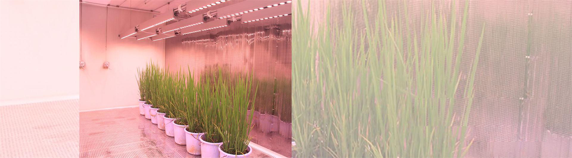 人工模拟环境的整体解决方案